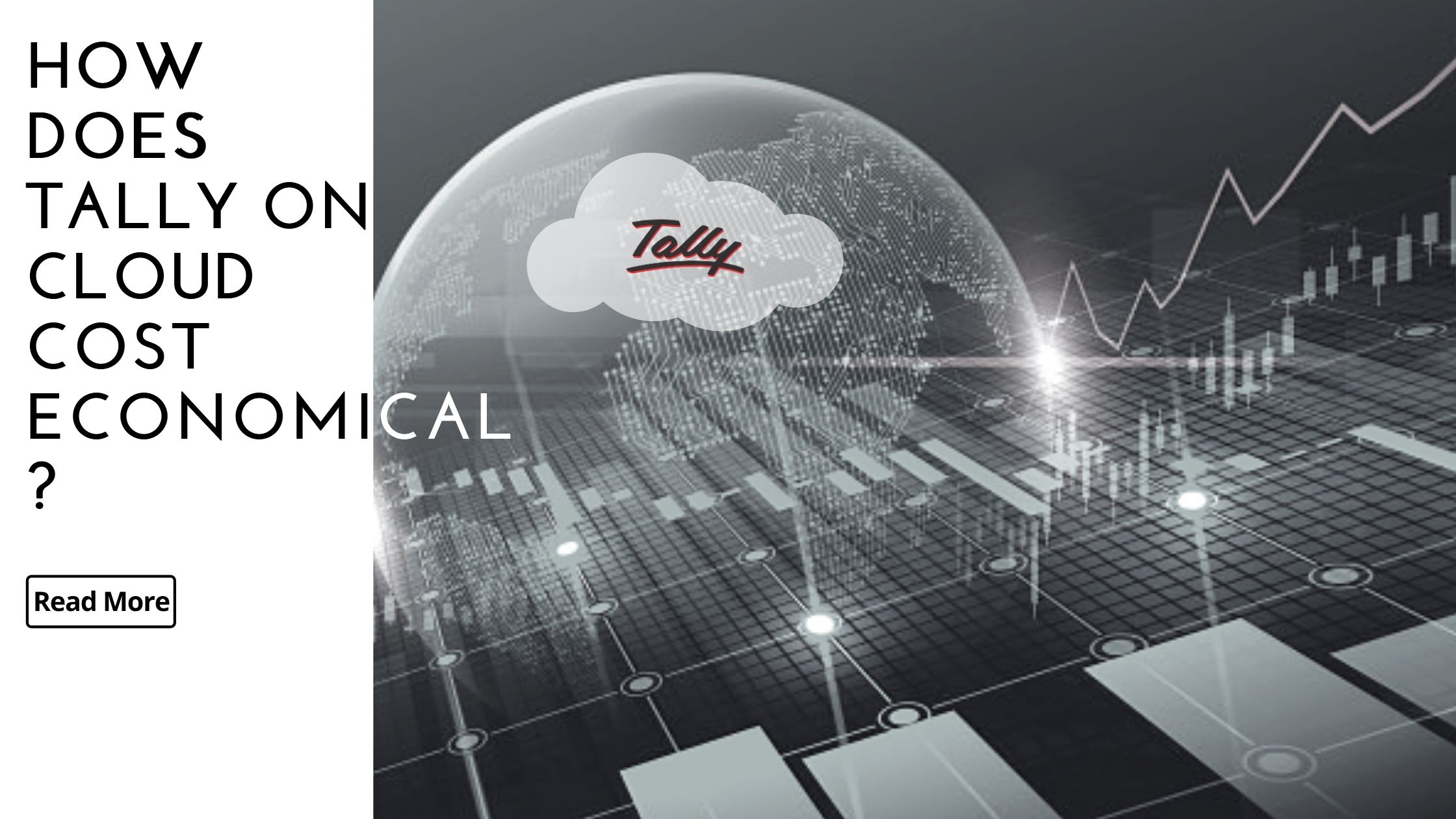 How does Tally on Cloud cost economical?