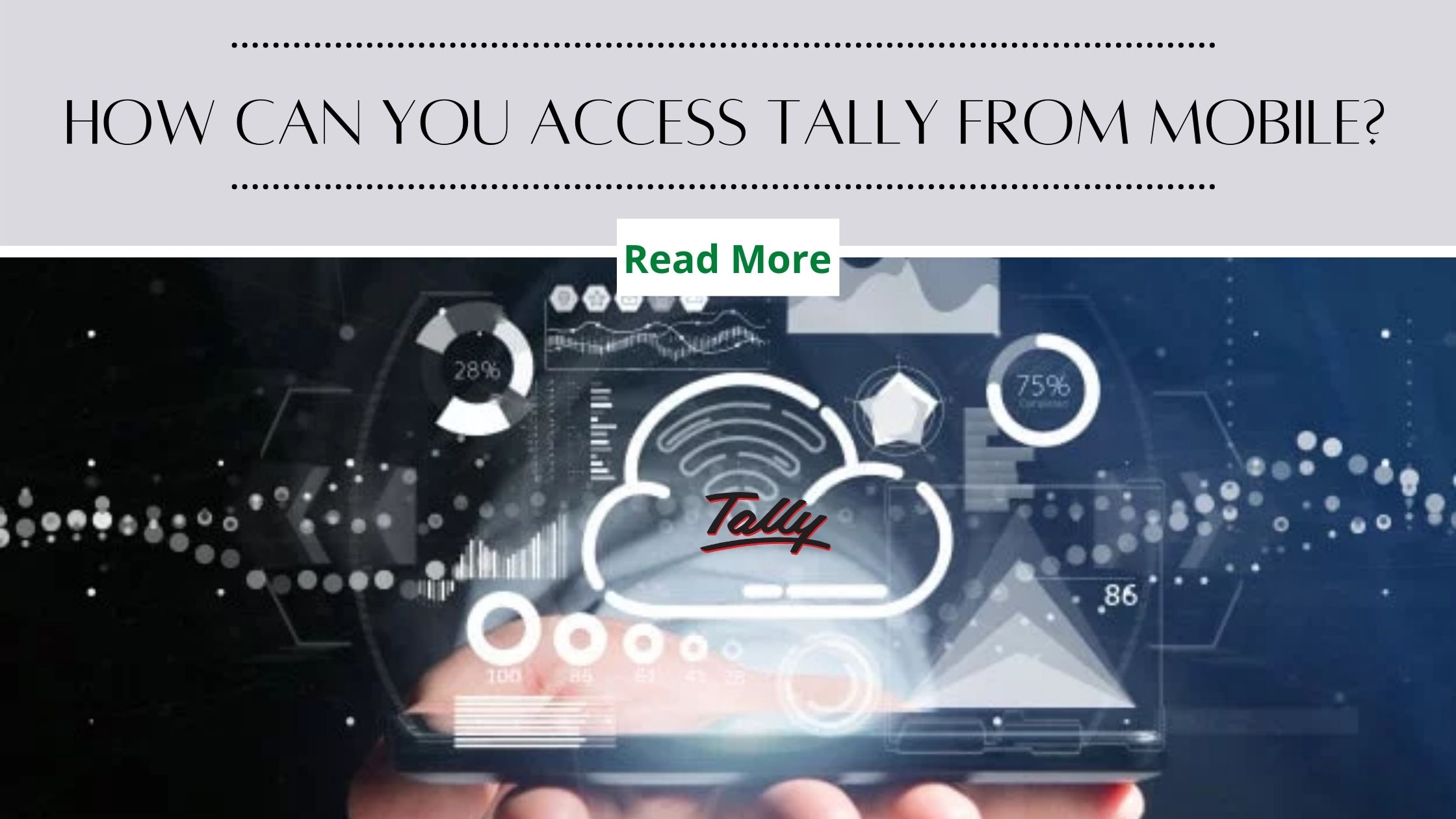 How can You access Tally from Mobile?