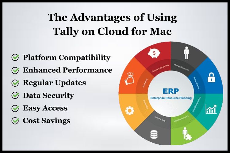 Tally, hosted on the cloud, works seamlessly on any Mac device, avoiding compatibility problems.