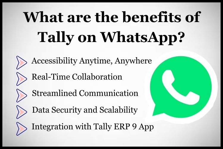 Tally on WhatsApp integrated with cloud services, users can access their financial data.