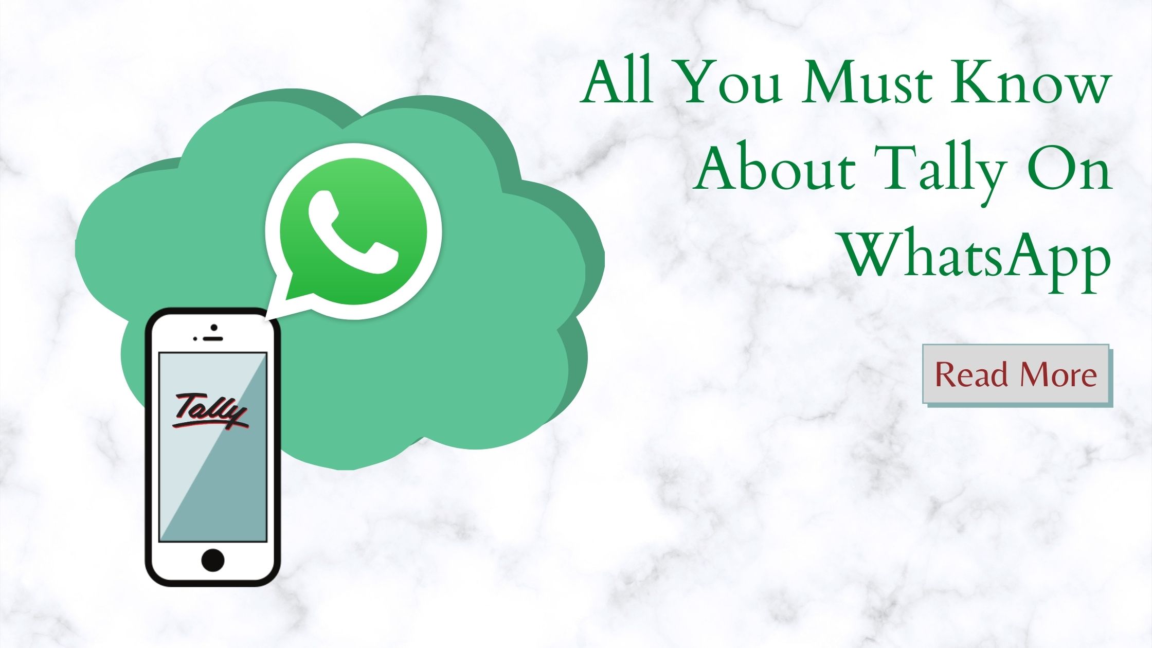 Tally On WhatsApp