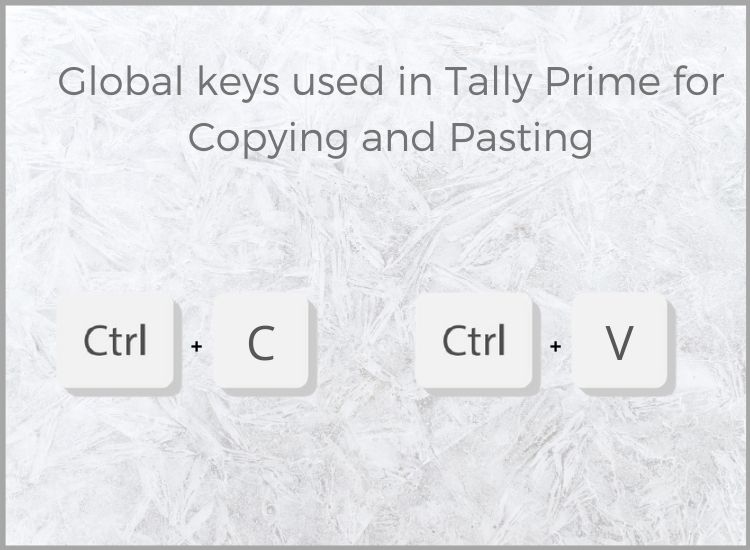 Tally prime features