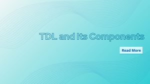 TDL and Its Components
