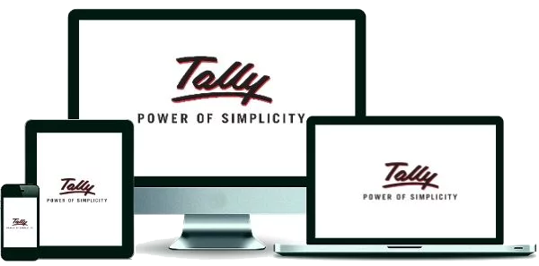 Online tally accounting software.