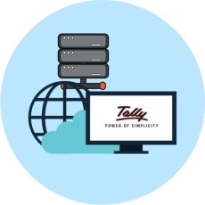 Tally User Based