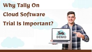 Why Tally On Cloud Software Trial Is Important?
