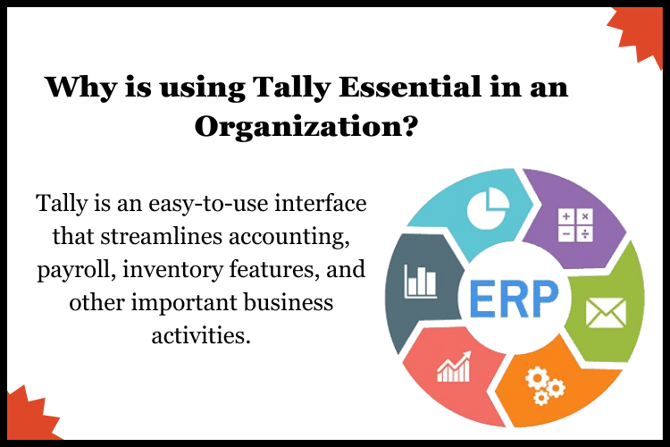 Tally is an easy-to-use interface that streamlines accounting, payroll, inventory features