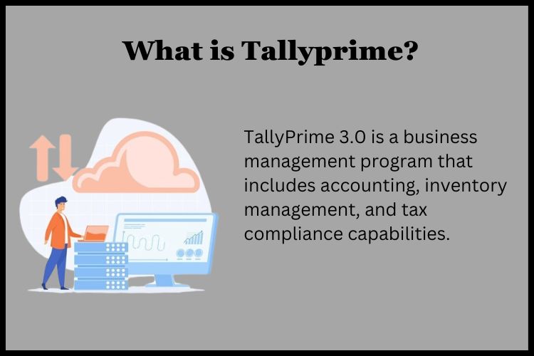 TallyPrime 3.0 is a business management program that includes accounting, inventory management, and tax compliance capabilities.